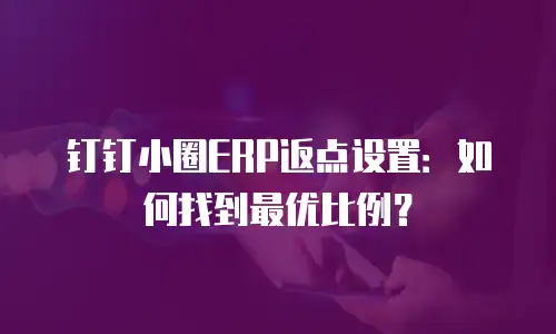 钉钉小圈ERP返点设置：如何找到最优比例？