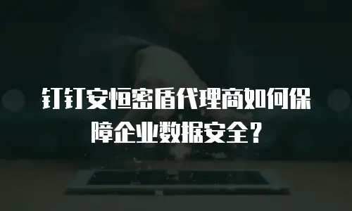 钉钉安恒密盾代理商如何保障企业数据安全？