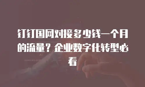 钉钉国网对接多少钱一个月的流量？企业数字化转型必看