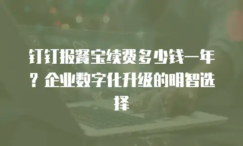 钉钉报餐宝续费多少钱一年？企业数字化升级的明智选择