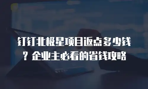 钉钉北极星项目返点多少钱？企业主必看的省钱攻略