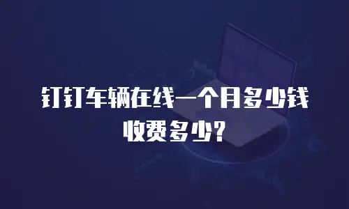 钉钉车辆在线一个月多少钱收费多少？