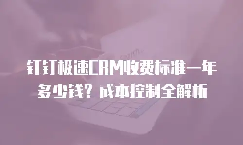 钉钉极速CRM收费标准一年多少钱？成本控制全解析