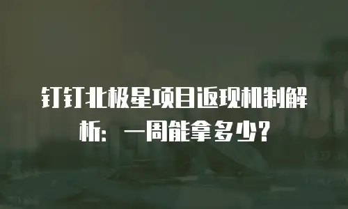 钉钉北极星项目返现机制解析：一周能拿多少？