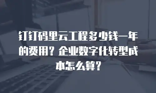 钉钉码里云工程多少钱一年的费用？企业数字化转型成本怎么算？