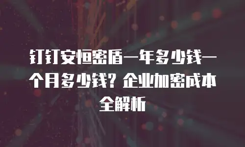 钉钉安恒密盾一年多少钱一个月多少钱？企业加密成本全解析