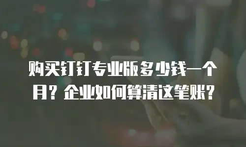 购买钉钉专业版多少钱一个月？企业如何算清这笔账？