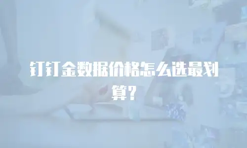 钉钉金数据价格怎么选最划算？