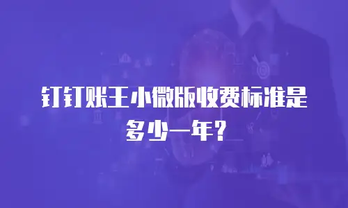 钉钉账王小微版收费标准是多少一年？