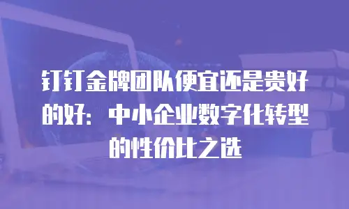 钉钉金牌团队便宜还是贵好的好：中小企业数字化转型的性价比之选