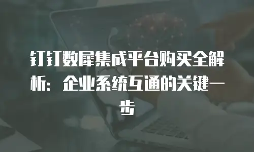 钉钉数犀集成平台购买全解析：企业系统互通的关键一步