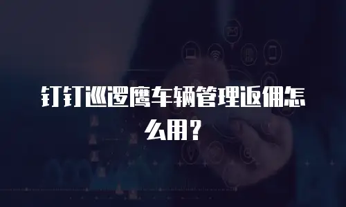 钉钉巡逻鹰车辆管理返佣怎么用？