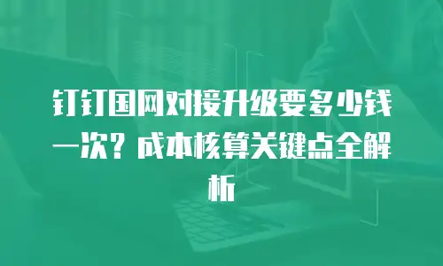 钉钉国网对接升级要多少钱一次？成本核算关键点全解析