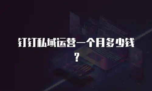 钉钉私域运营一个月多少钱？