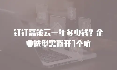 钉钉嘉策云一年多少钱？企业选型需避开3个坑