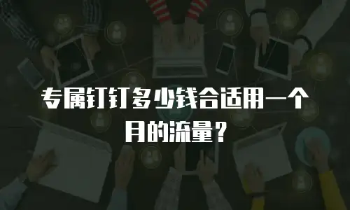 专属钉钉多少钱合适用一个月的流量？