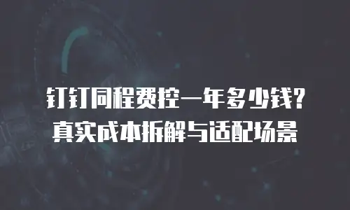 钉钉同程费控一年多少钱？真实成本拆解与适配场景