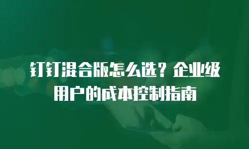 钉钉混合版怎么选？企业级用户的成本控制指南