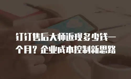 钉钉售后大师返现多少钱一个月？企业成本控制新思路