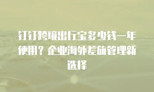 钉钉跨境出行宝多少钱一年使用？企业海外差旅管理新选择