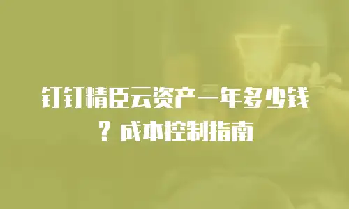 钉钉精臣云资产一年多少钱？成本控制指南