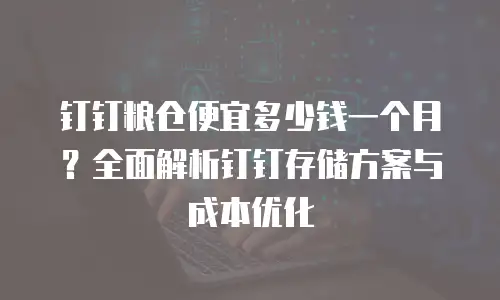 钉钉粮仓便宜多少钱一个月？全面解析钉钉存储方案与成本优化