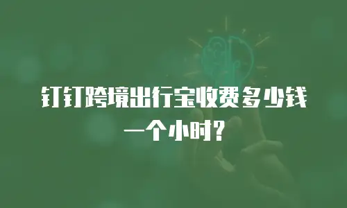 钉钉跨境出行宝收费多少钱一个小时？