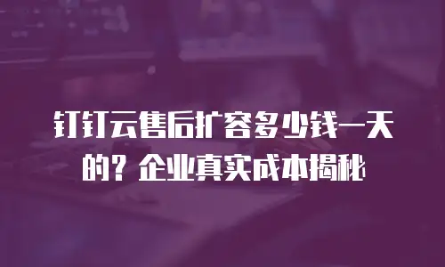 钉钉云售后扩容多少钱一天的？企业真实成本揭秘