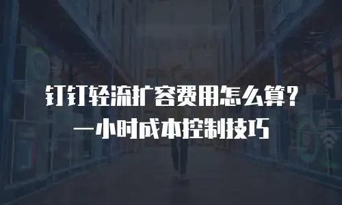 钉钉轻流扩容费用怎么算？一小时成本控制技巧