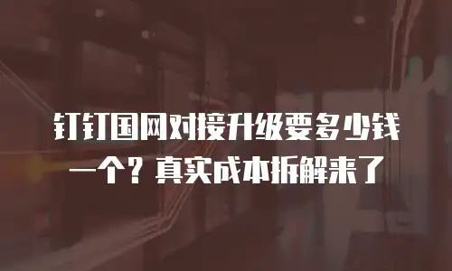 钉钉国网对接升级要多少钱一个？真实成本拆解来了