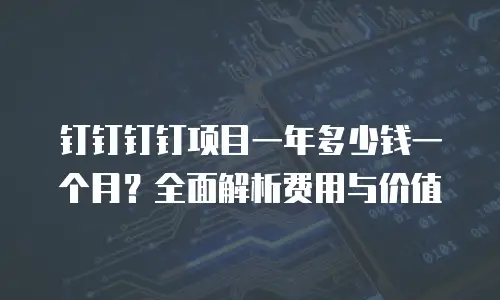 钉钉钉钉项目一年多少钱一个月？全面解析费用与价值