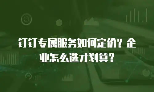 钉钉专属服务如何定价？企业怎么选才划算？