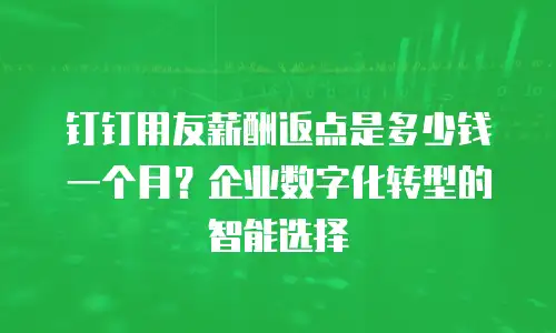 钉钉用友薪酬返点是多少钱一个月？企业数字化转型的智能选择
