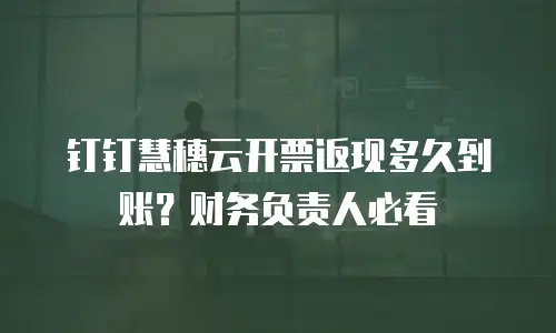 钉钉慧穗云开票返现多久到账？财务负责人必看