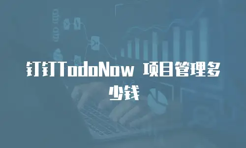 钉钉TodoNow 项目管理多少钱