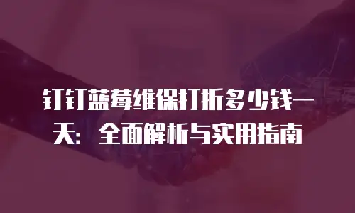 钉钉蓝莓维保打折多少钱一天：全面解析与实用指南