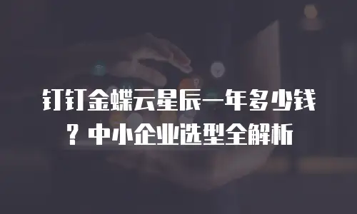 钉钉金蝶云星辰一年多少钱？中小企业选型全解析