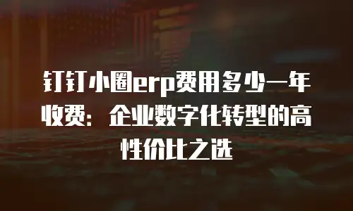 钉钉小圈erp费用多少一年收费：企业数字化转型的高性价比之选