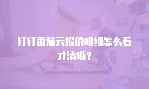 钉钉番茄云报价明细怎么看才清晰？