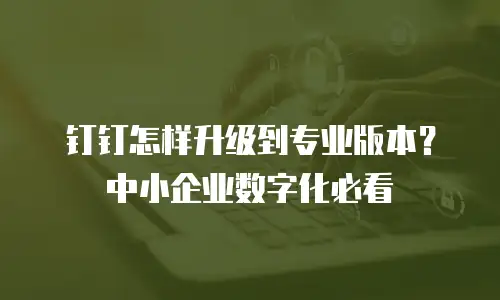 钉钉怎样升级到专业版本？中小企业数字化必看