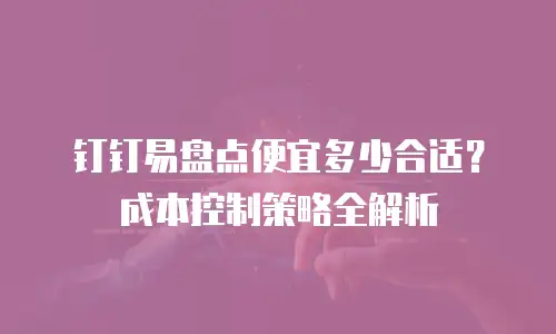 钉钉易盘点便宜多少合适？成本控制策略全解析