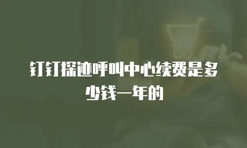 钉钉探迹呼叫中心续费是多少钱一年的