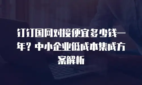 钉钉国网对接便宜多少钱一年？中小企业低成本集成方案解析