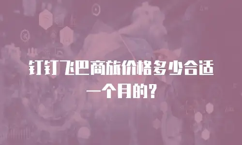 钉钉飞巴商旅价格多少合适一个月的？