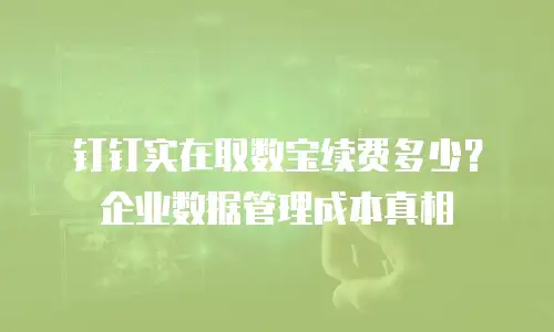 钉钉实在取数宝续费多少？企业数据管理成本真相