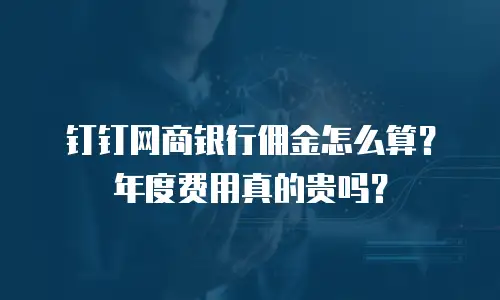 钉钉网商银行佣金怎么算？年度费用真的贵吗？
