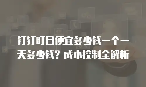 钉钉盯目便宜多少钱一个一天多少钱？成本控制全解析