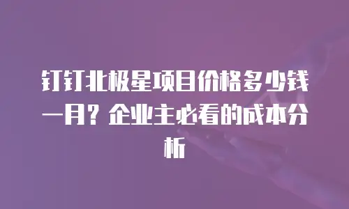 钉钉北极星项目价格多少钱一月？企业主必看的成本分析