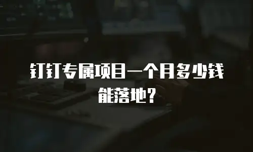 钉钉专属项目一个月多少钱能落地？