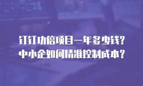 钉钉功倍项目一年多少钱？中小企如何精准控制成本？